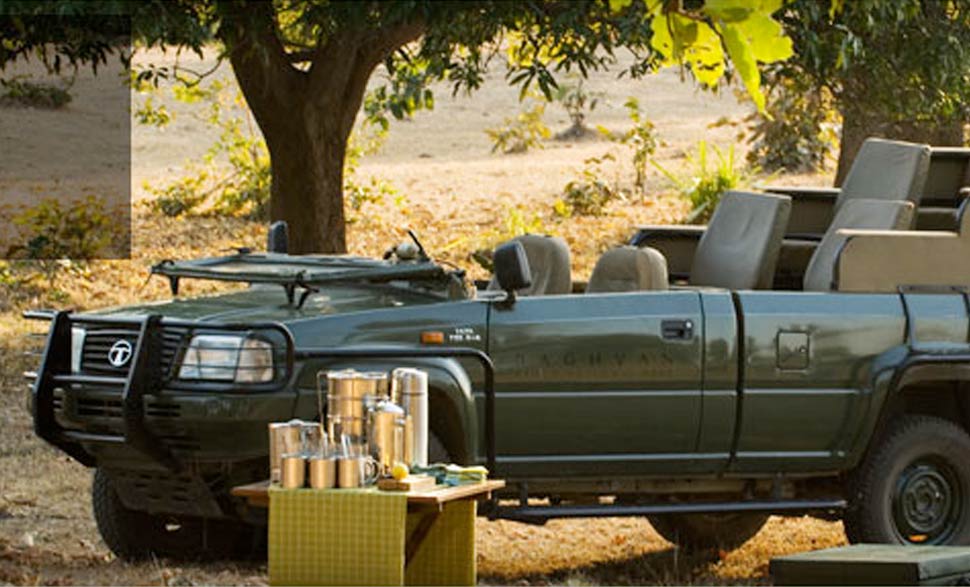 Tiger Safaris in Bandhavgarh