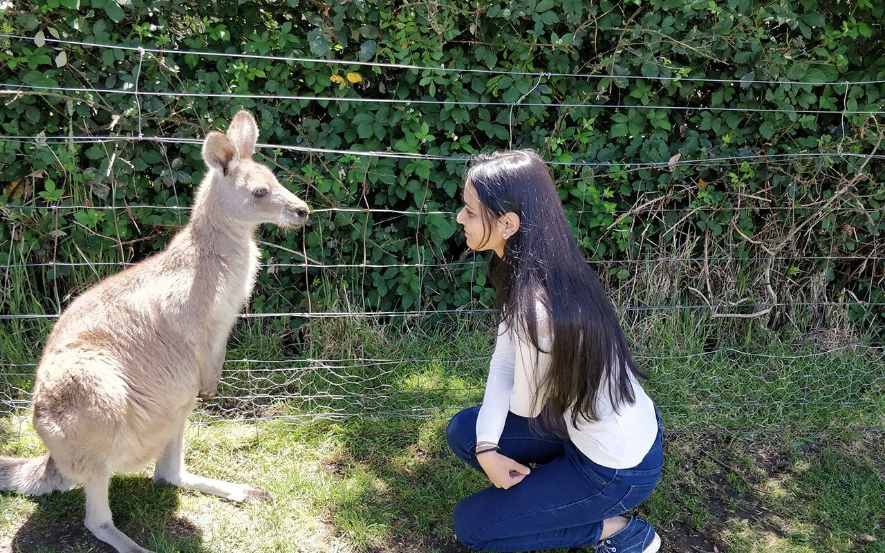 my-experiences-in-australia