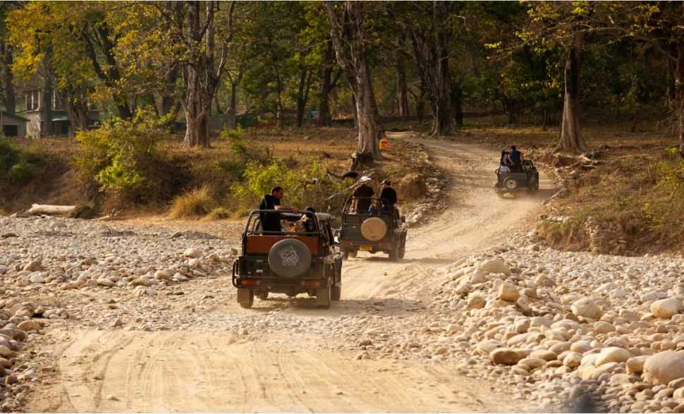 Things To Do In Corbett On Your Next Long Weekend Makemytrip Blog