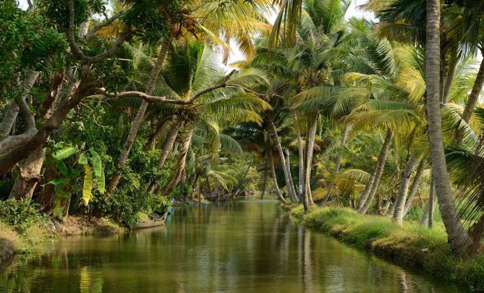 houseboat-in-kumarakom
