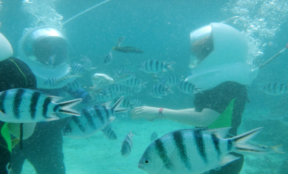 sea-walking