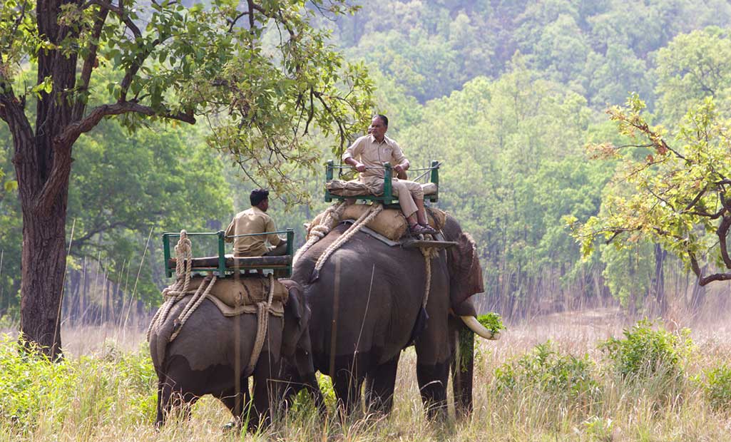 bandhavgarh adventure destination