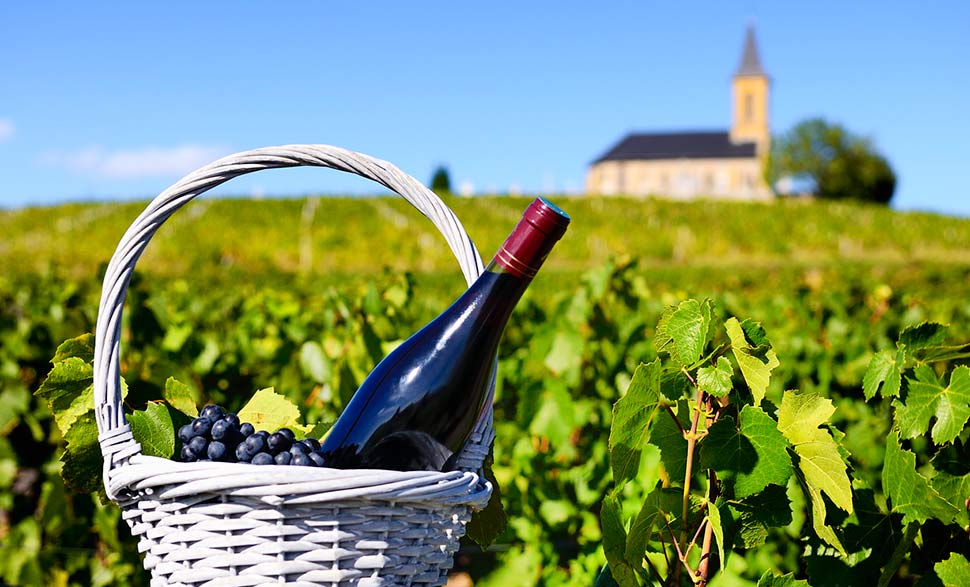 bordeux