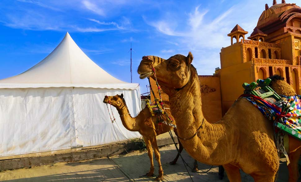 camel-ride-gujarat