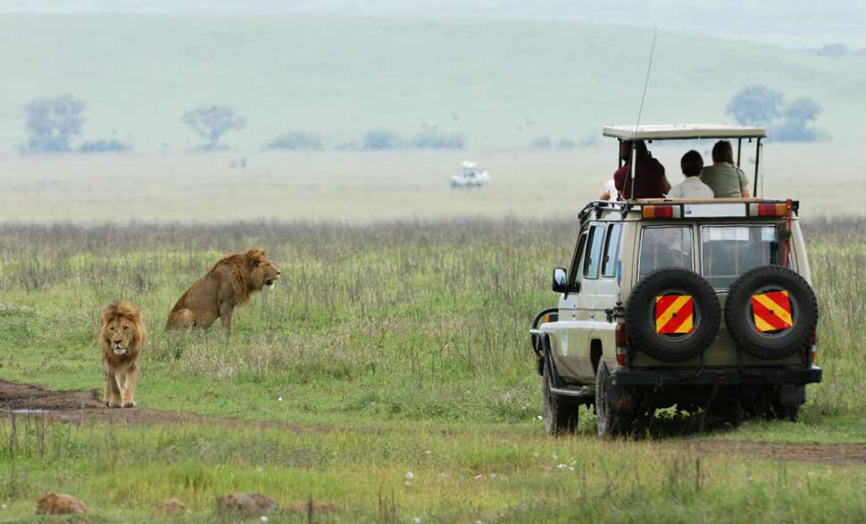 Best Family Destinations Outside India MakeMyTrip Blog