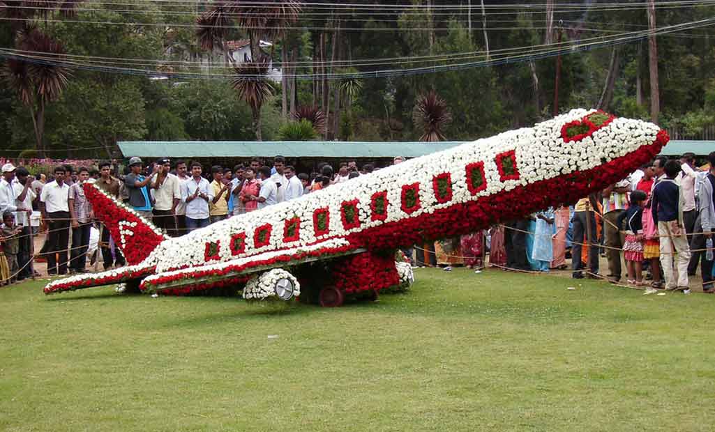 ooty-summer-festival