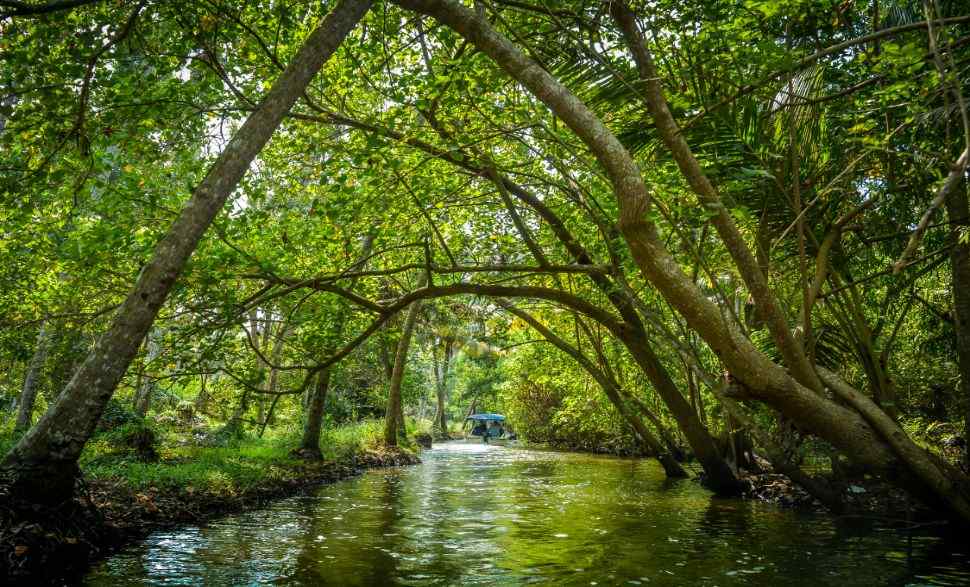 poovar-in-Kerala