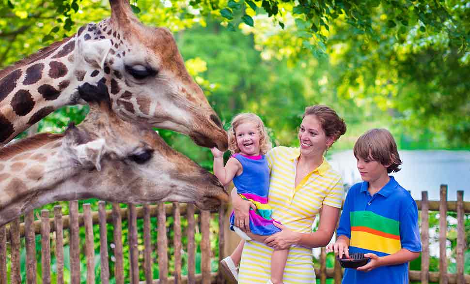 Best Family Destinations Outside India MakeMyTrip Blog