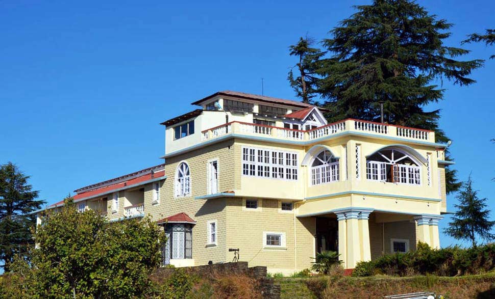 the-tree of-life-grand-oak-manor-binsar