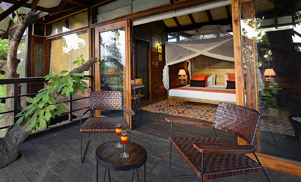 tree-house-experience-pench
