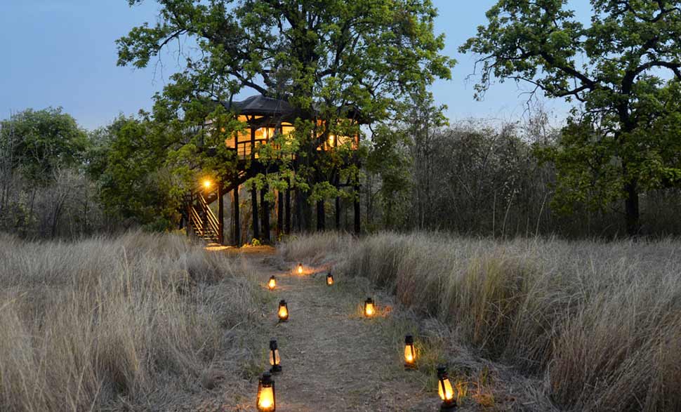 pench-tree-house