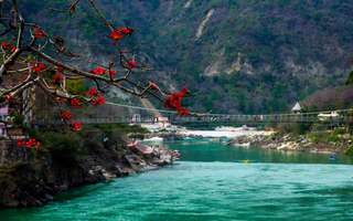 Rishikesh