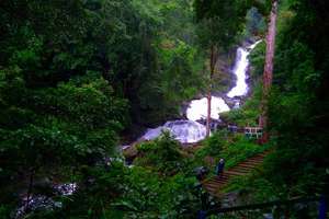 coorg