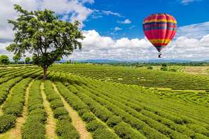 hot-air-balloon-srilanka