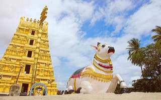 things-to-do-in-srisailam