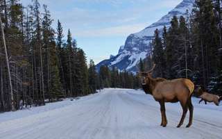 things-to-do-in-canada