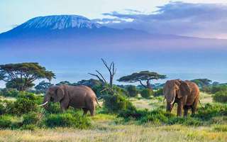 national-parks-in-kenya