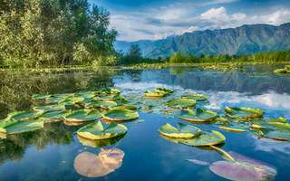 budget-holidays-in-june