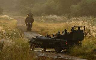 wildlife-luxury-resorts