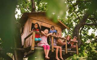 tree-houses-in-india