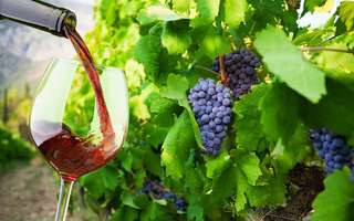 Wine stays in Australia