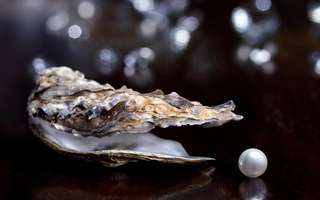 Travel-for-Souvenirs