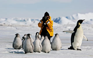 Penguin-Frozen-Continent