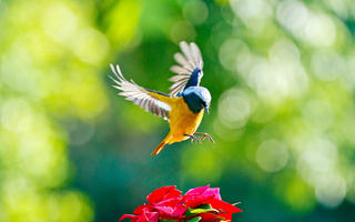 things-to-do-in-andamans