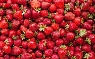 Trip-To-Mahabaleshwar-Strawberry-Mumbai