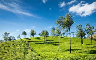 back-to-nature-in-kerala-nature-beauty