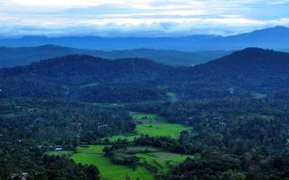 scenic-coorg-travel-guide
