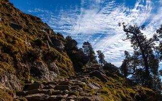  Mcleodganj to Triund trek