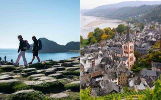 Northern Ireland Vs Germany