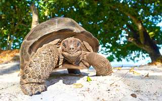 unique-experiences-seychelles