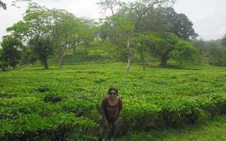 family-holiday-in-north-east