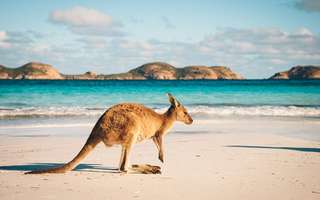 best-beaches-of-western-australia
