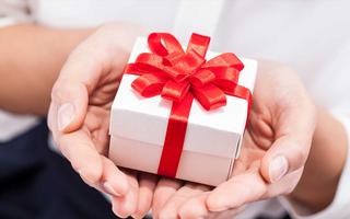 holiday-with-sibling