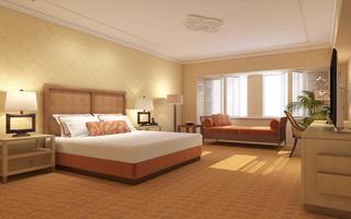 hotels in ahmedabad