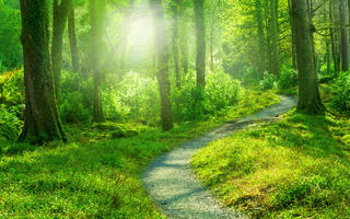 weekend-getaways-mumbai-igatpuri