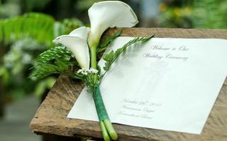 destination-wedding-hotels