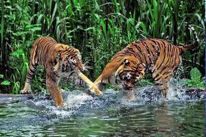 budget-holidays-november