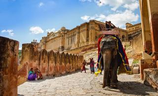 jaipur-literature-festival-2016