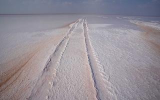 rann of kutch