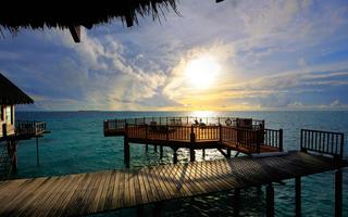 mini-mathur-on-diving-travelling-her-8-hands-diving-sea