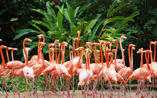 weekend-getaways-mumbai-monsoon