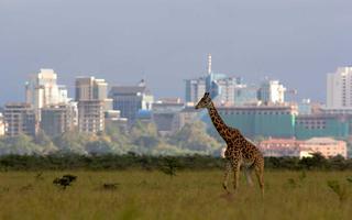 is-it-safe-to-travel-to-kenya?