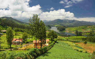 Ooty