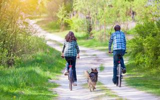 pet-friendly-countries