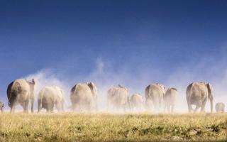 pune-weekend-getaways-wildlife