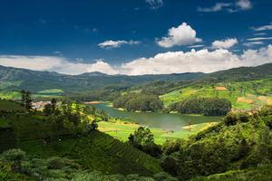 ooty-quick-travel-guide